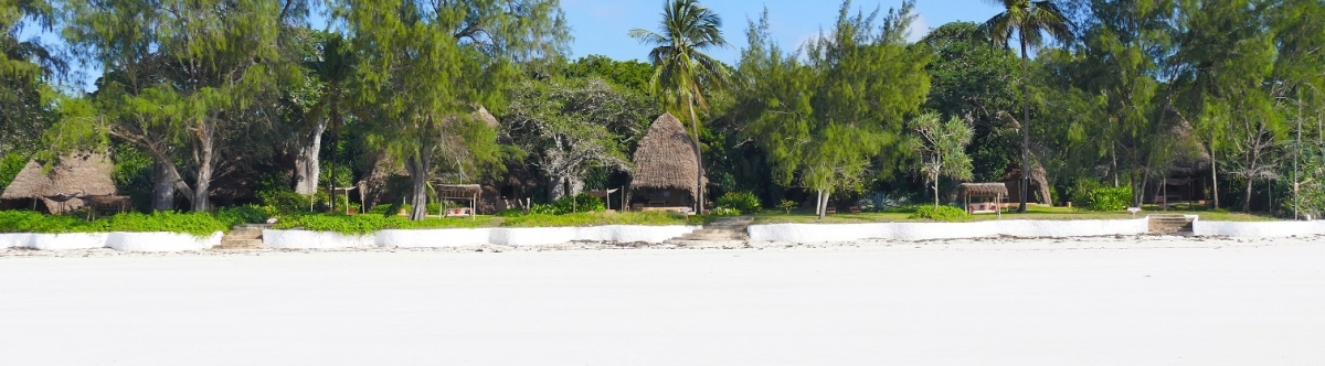 Panorama Kenia Diani Beach Strand (Alexander Mirschel)  Copyright 
Informations sur les licences disponibles sous 'Preuve des sources d'images'